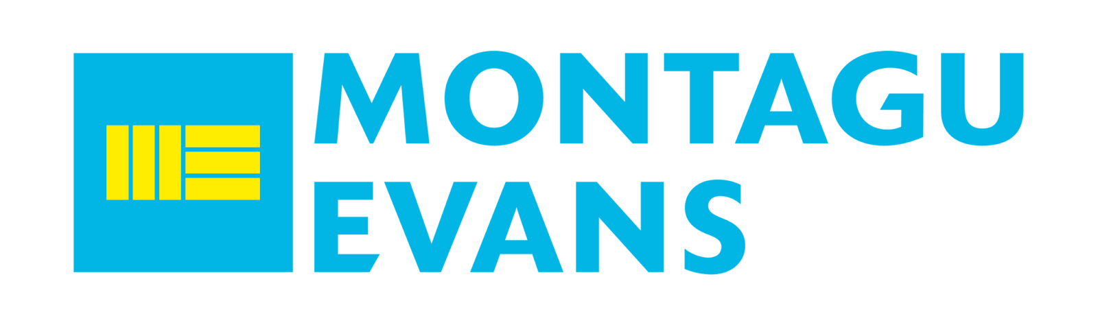 Montagu Evans Logo